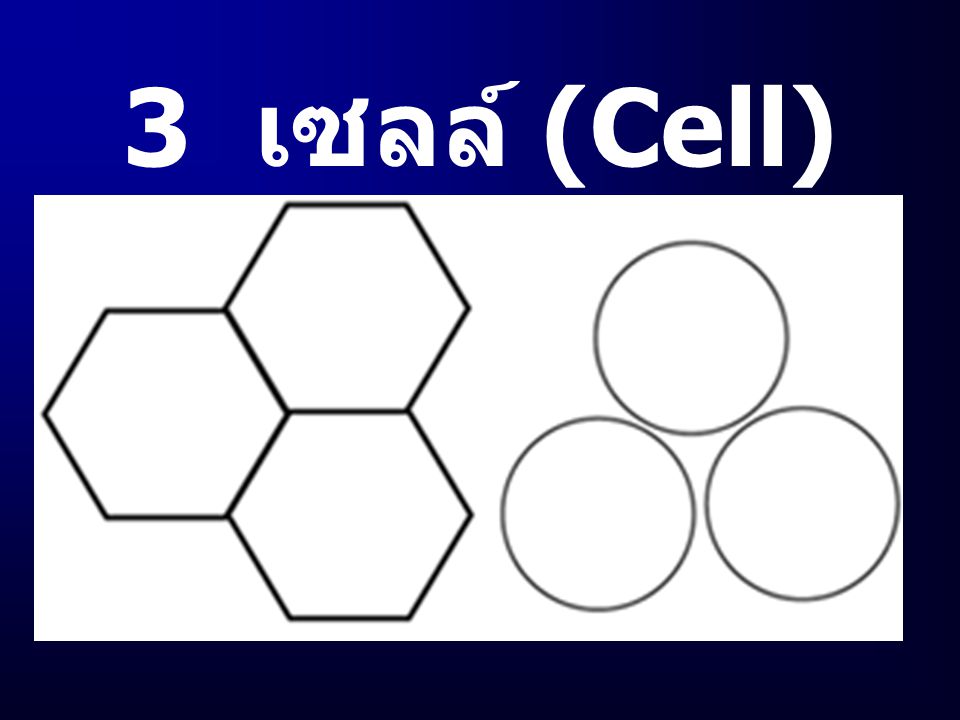 3 เซลล์ (Cell)