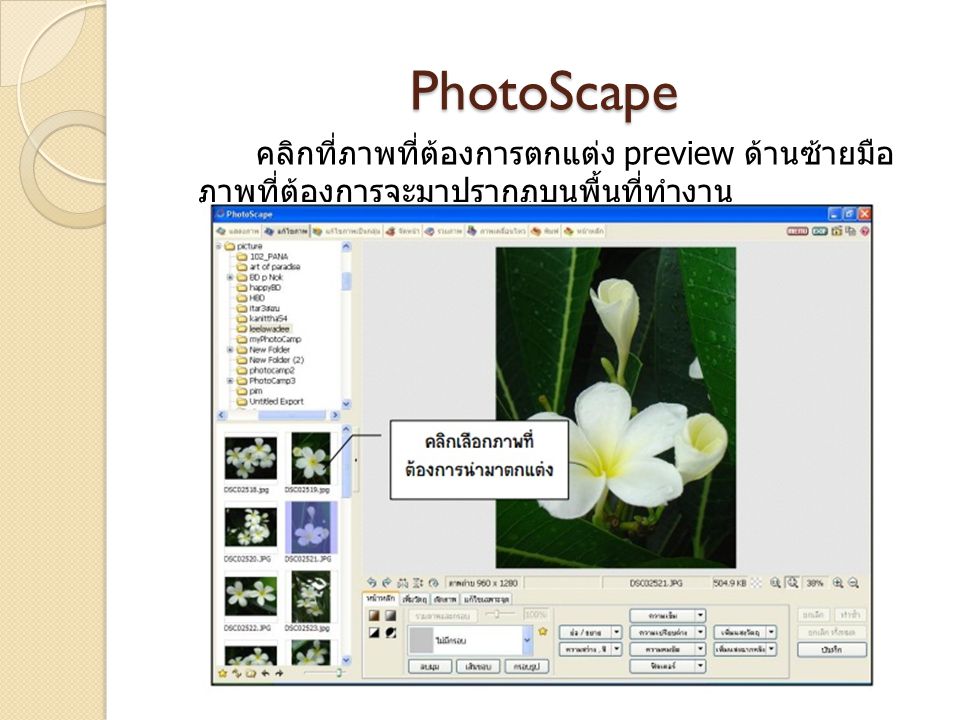 PhotoScape คลิกที่ภาพที่ต้องการตกแต่ง preview ด้านซ้ายมือภาพที่ต้องการจะมาปรากฏบน พื้นที่ทำงาน