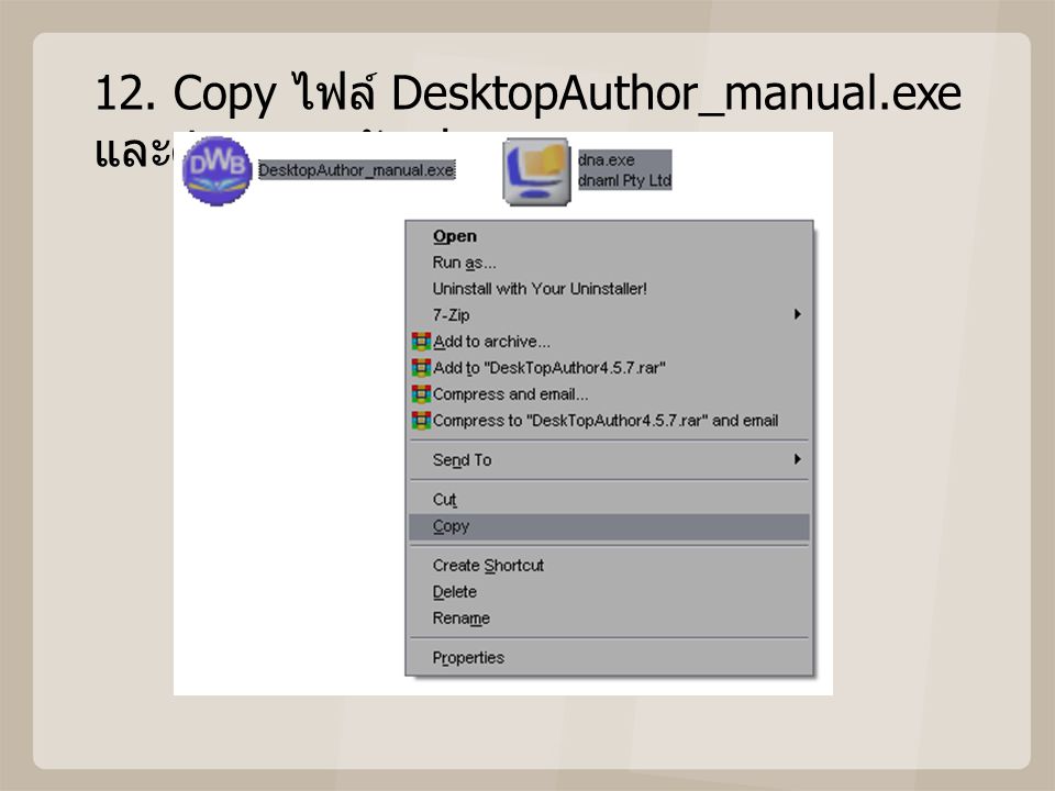 12. Copy ไฟล์ DesktopAuthor_manual.exe และdna.exe ดังรูป