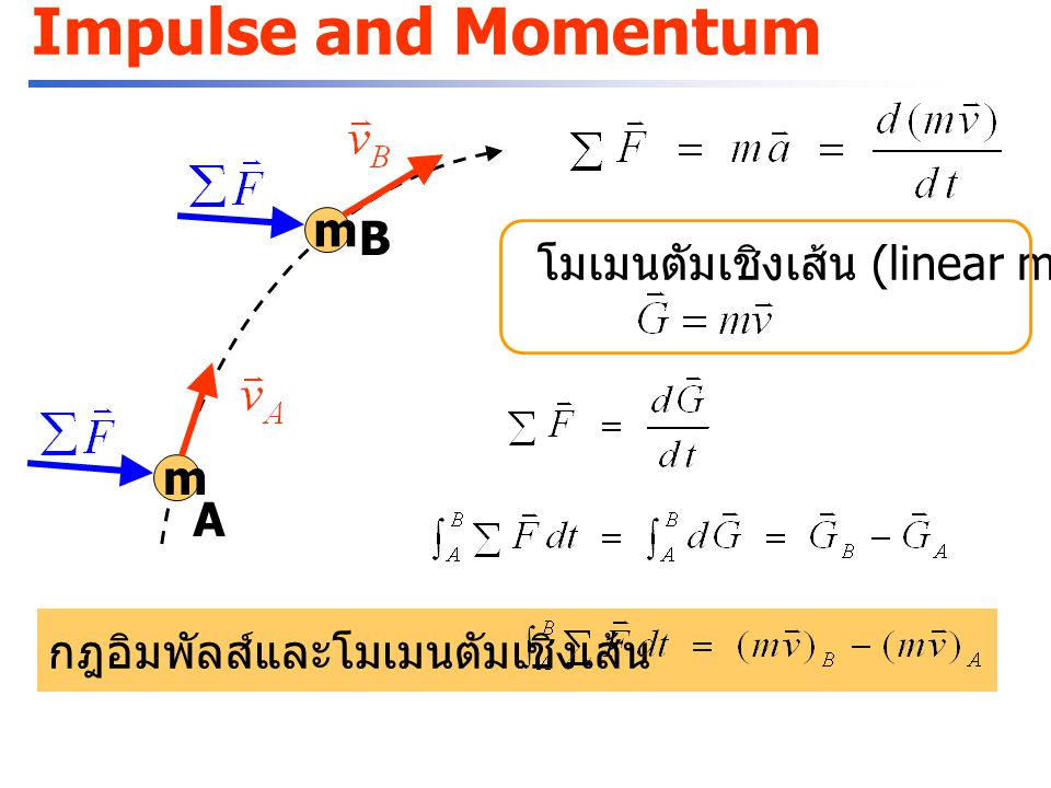 Impulse and Momentum m B โมเมนตัมเชิงเส้น (linear momentum) m A