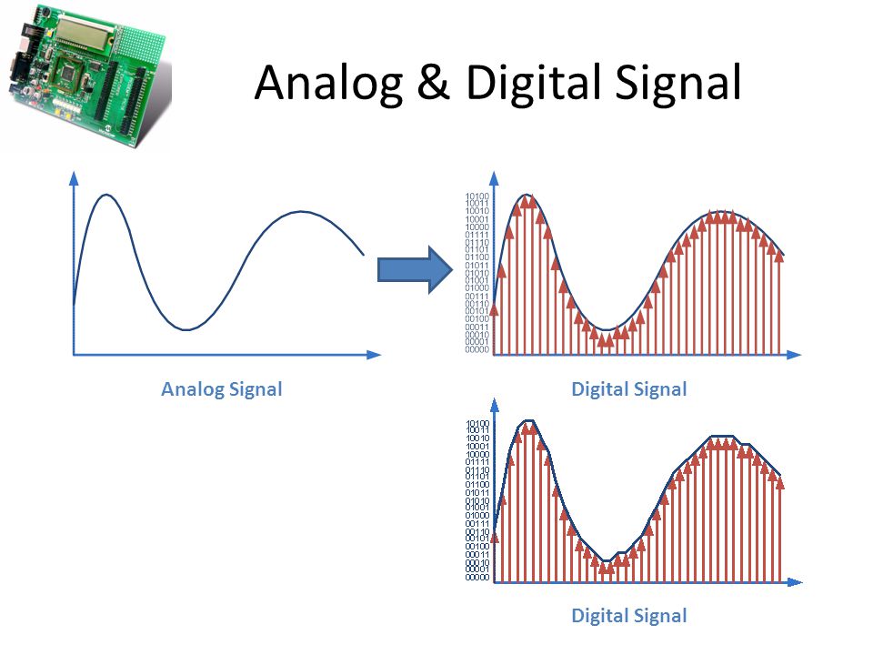Analog & Digital Signal