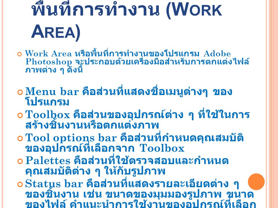 พื้นที่การทำงาน (Work Area)