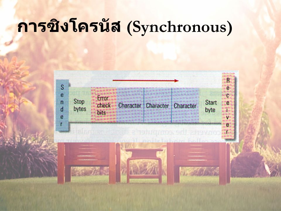 การซิงโครนัส (Synchronous)