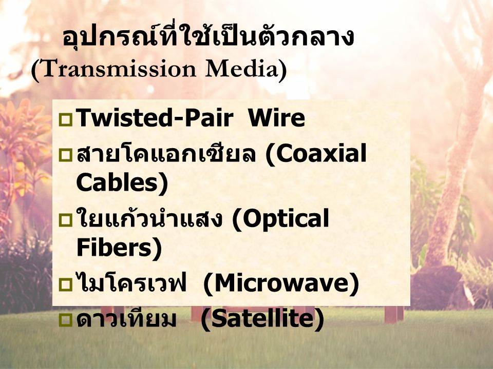 อุปกรณ์ที่ใช้เป็นตัวกลาง (Transmission Media)