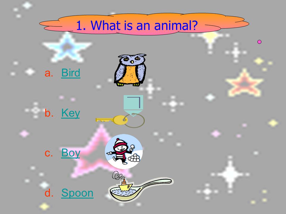 1. What is an animal Bird Key Boy Spoon