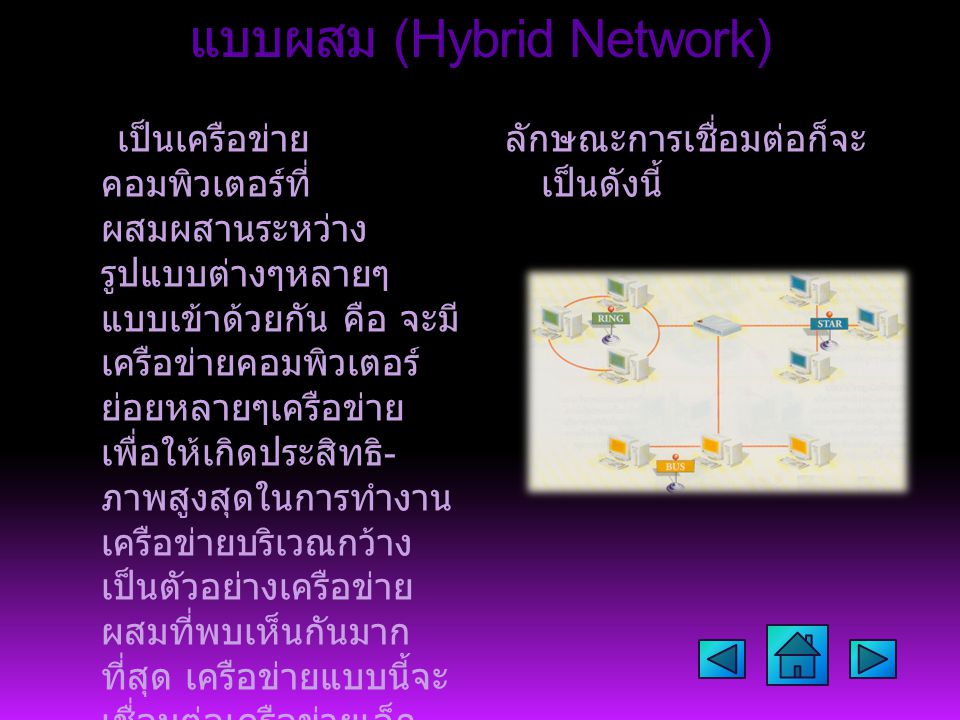 แบบผสม (Hybrid Network)