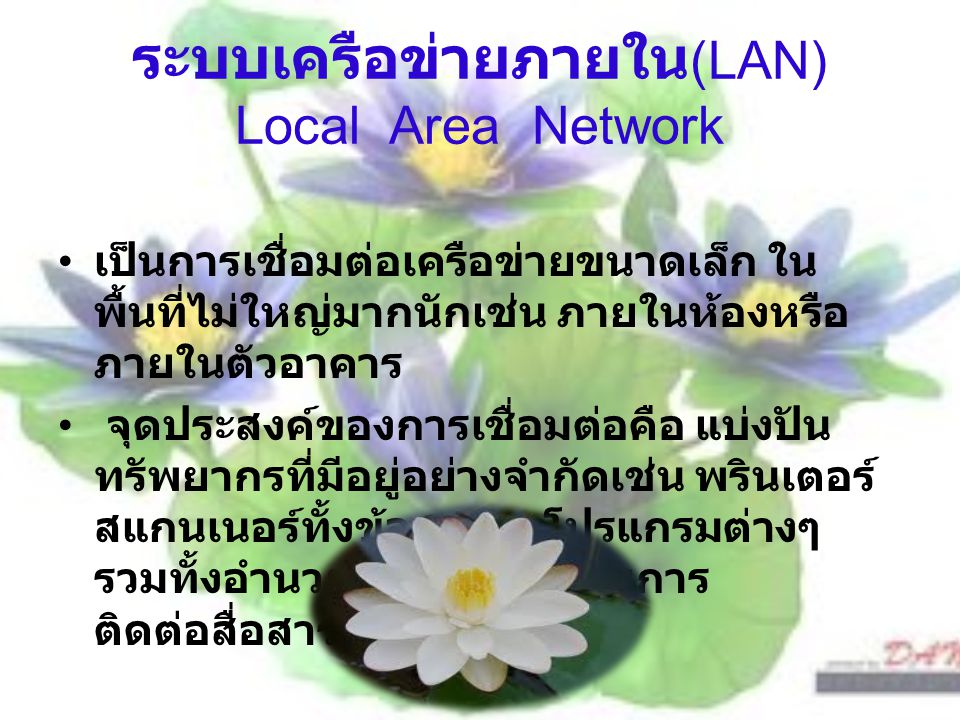 ระบบเครือข่ายภายใน(LAN) Local Area Network