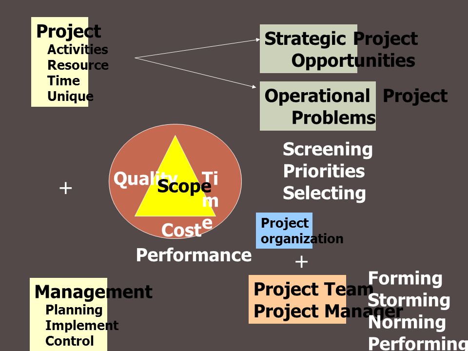 + + Project Strategic Project Opportunities Operational Project