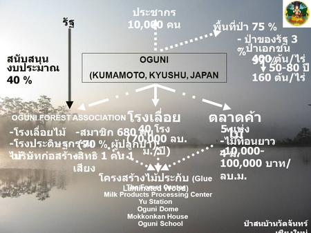 ป่าสนบ้านวัดจันทร์ เชียงใหม่ - ป่าของรัฐ 3 % - ป่าเอกชน 97 % OGUNI (KUMAMOTO, KYUSHU, JAPAN รัฐ งบประมาณ 40 % สนับสนุน ประชากร 10,000 คน พื้นที่ป่า 75.