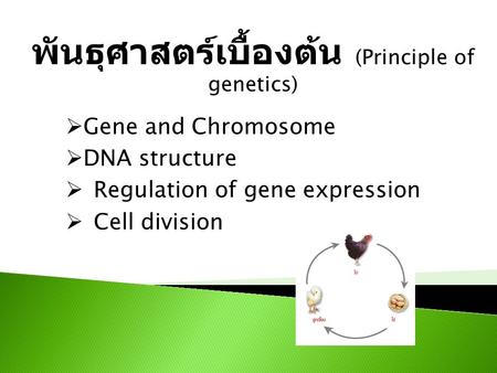 พันธุศาสตร์เบื้องต้น (Principle of genetics)