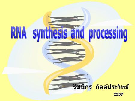 RNA synthesis and processing รัชนีกร กัลล์ประวิทธ์