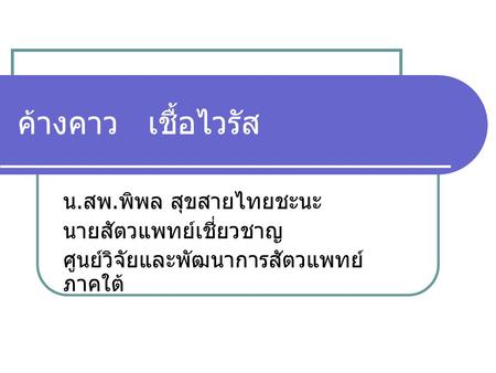 ค้างคาว เชื้อไวรัส น.สพ.พิพล สุขสายไทยชะนะ นายสัตวแพทย์เชี่ยวชาญ