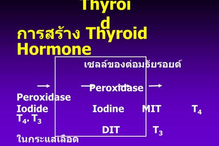 การสร้าง Thyroid Hormone