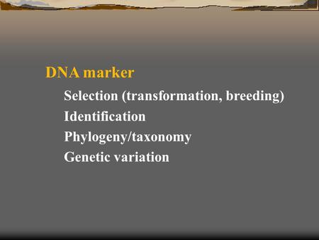 DNA marker Selection (transformation, breeding) Identification