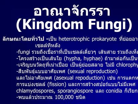 อาณาจักรรา (Kingdom Fungi)