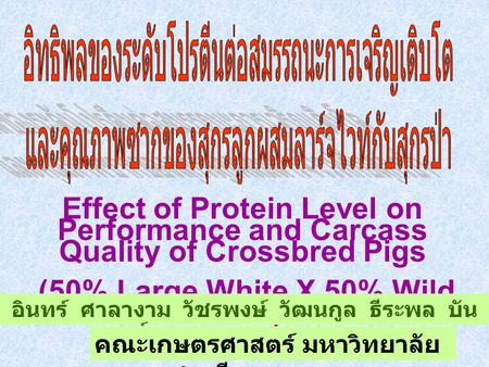 Effect of Protein Level on Performance and Carcass Quality of Crossbred Pigs (50% Large White X 50% Wild Boar) อินทร์ ศาลางาม วัชรพงษ์ วัฒนกูล ธีระพล.
