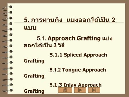 5. การทาบกิ่ง แบ่งออกได้เป็น 2 แบบ