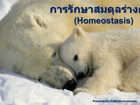 การรักษาสมดุลร่างกาย (Homeostasis)