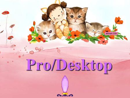 Pro/Desktop.
