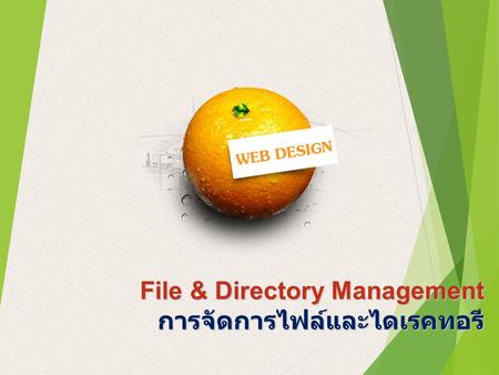 File & Directory Management การจัดการไฟล์และไดเรคทอรี