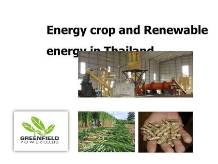 Energy crop and Renewable energy in Thailand. วัตถุประ สงค์  ส่งเสริมอาชีพให้กับสมาชิกและครอบครัวเกษตรกร  จัดตลาดรับซื้อผลผลิตพืชพลังงาน ราคาประกันและ.