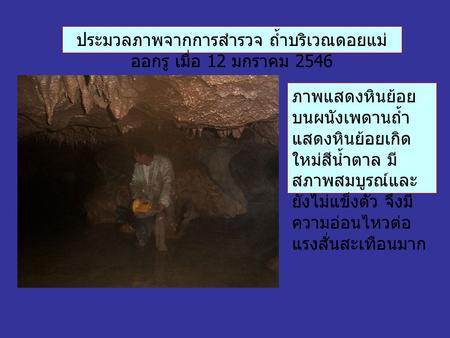 ประมวลภาพจากการสำรวจ ถ้ำบริเวณดอยแม่ ออกรู เมื่อ 12 มกราคม 2546 ภาพแสดงหินย้อย บนผนังเพดานถ้ำ แสดงหินย้อยเกิด ใหม่สีน้ำตาล มี สภาพสมบูรณ์และ ยังไม่แข็งตัว.