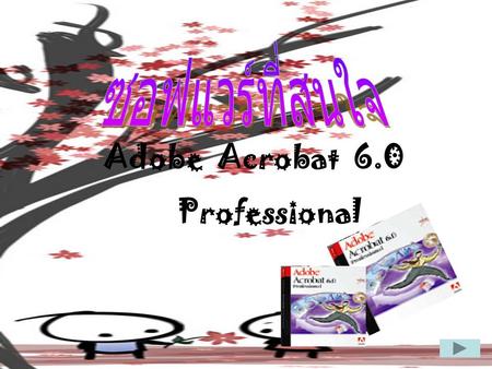 ซอฟแวร์ที่สนใจ Adobe Acrobat 6.0 Professional.