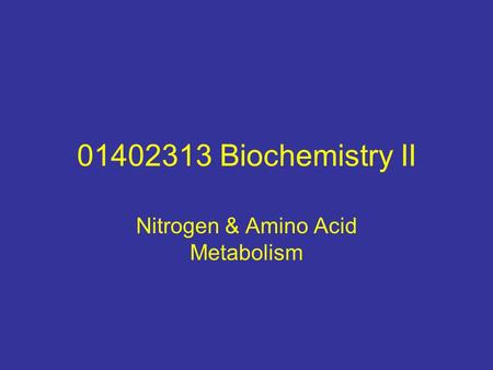 Nitrogen & Amino Acid Metabolism