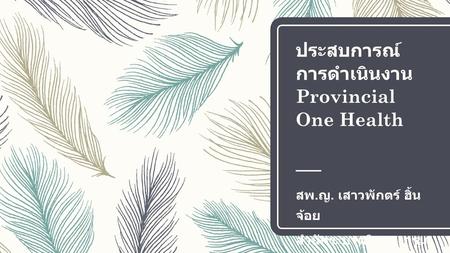 ประสบการณ์การดำเนินงาน Provincial One Health