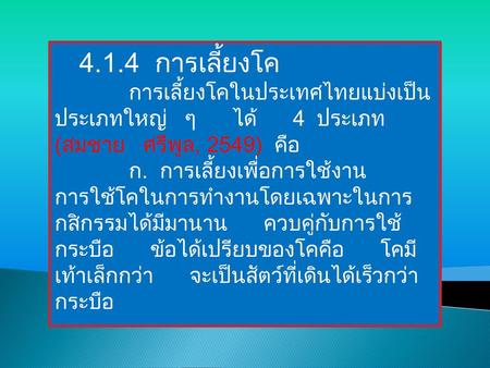 4.1.4 การเลี้ยงโค การเลี้ยงโคในประเทศไทยแบ่งเป็นประเภทใหญ่ ๆ ได้ 4 ประเภท (สมชาย ศรีพูล, 2549) คือ ก. การเลี้ยงเพื่อการใช้งาน การใช้โคในการทำงานโดยเฉพาะในการกสิกรรมได้มีมานาน.