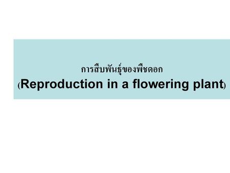 การสืบพันธุ์ของพืชดอก (Reproduction in a flowering plant)