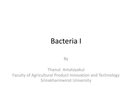 Bacteria I By Thanut Amatayakul