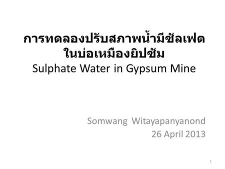 Somwang Witayapanyanond 26 April 2013