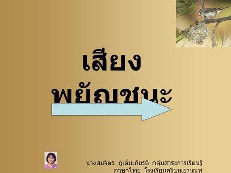 เสียงพยัญชนะ นางสมจิตร ภูเต็มเกียรติ กลุ่มสาระการเรียนรู้ภาษาไทย โรงเรียนศรีบุณยานนท์