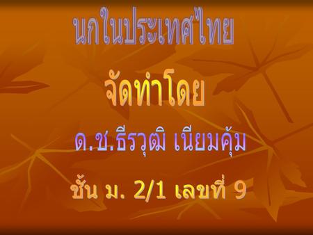 นกในประเทศไทย จัดทำโดย ด.ช.ธีรวุฒิ เนียมคุ้ม ชั้น ม. 2/1 เลขที่ 9.