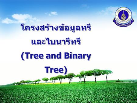 โครงสร้างข้อมูลทรีและไบนารีทรี (Tree and Binary Tree)