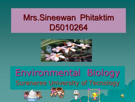 Mrs.Sineewan Phitaktim D5010264 Environmental Biology Suranaree University of Tecnology.