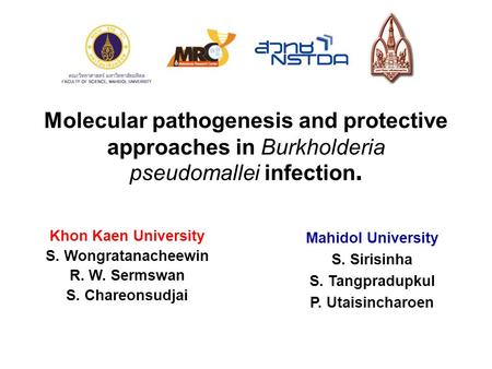 Khon Kaen University S. Wongratanacheewin R. W. Sermswan