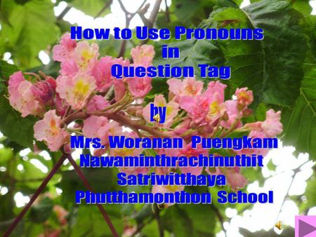 How to Use Pronouns in Question Tag by Mrs. Woranan Puengkam