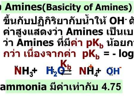 ความเป็นเบสของ Amines(Basicity of Amines)
