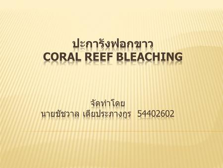 ปะการังฟอกขาว Coral Reef Bleaching