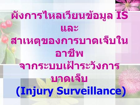 ผังการไหลเวียนข้อมูล IS และ สาเหตุของการบาดเจ็บในอาชีพ จากระบบเฝ้าระวังการบาดเจ็บ (Injury Surveillance)