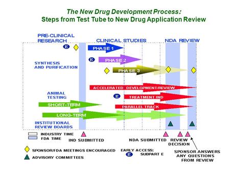 The New Drug Development Process:
