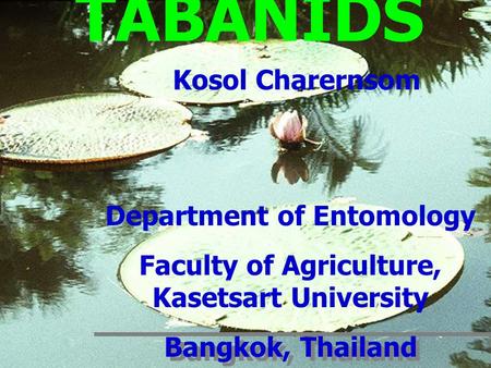 Department of Entomology Faculty of Agriculture, Kasetsart University