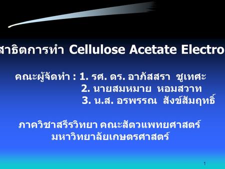 สไลด์การสาธิตการทำ Cellulose Acetate Electrophoresis