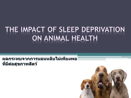 The Impact of Sleep deprivation on Animal Health