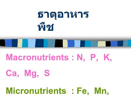 ธาตุอาหารพืช Macronutrients : N, P, K, Ca, Mg, S