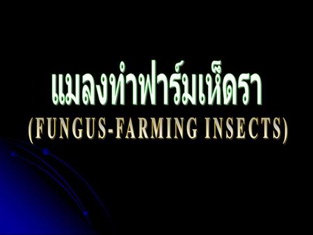 (FUNGUS-FARMING INSECTS)