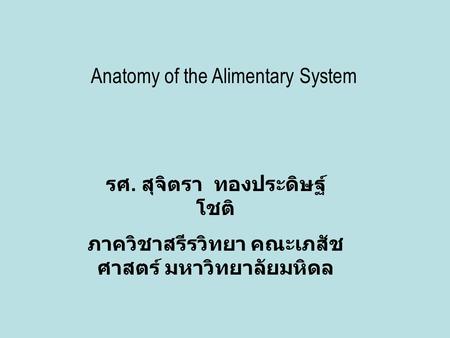 Anatomy of the Alimentary System
