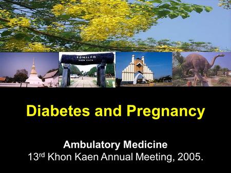 Diabetes and Pregnancy Ambulatory Medicine 13 rd Khon Kaen Annual Meeting, 2005.